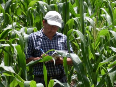 Caribbean Agriculture Research and Development Institute (CARDI)