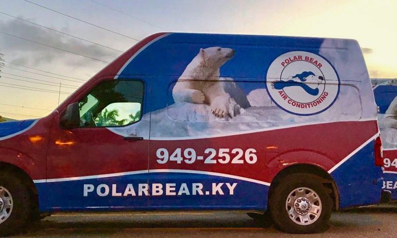 Polar Bear Air Conditioning